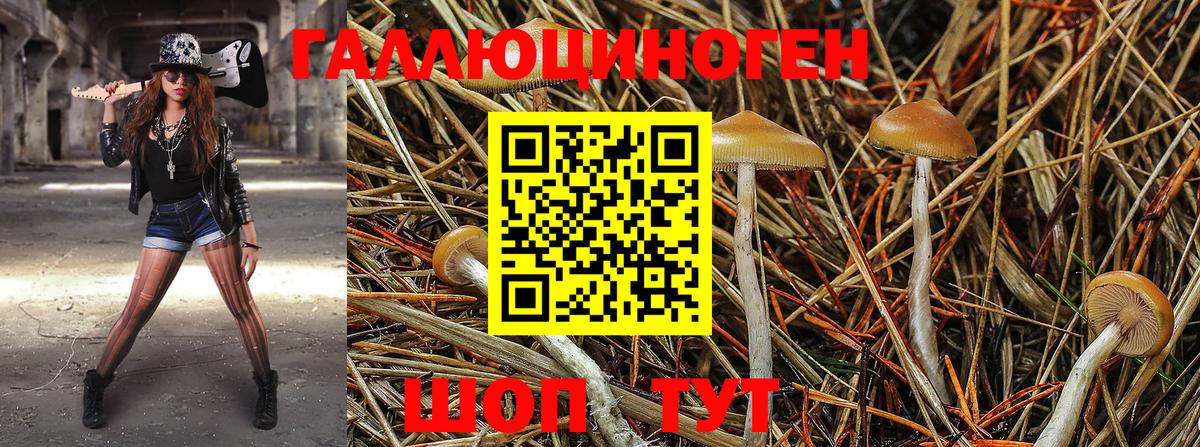 Псилоцибиновые грибы ЛСД Кемерово